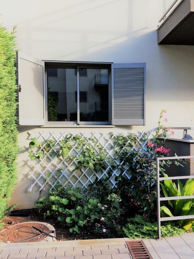 Rochas Shared Apart Garden Refuge フンシャル エクステリア 写真