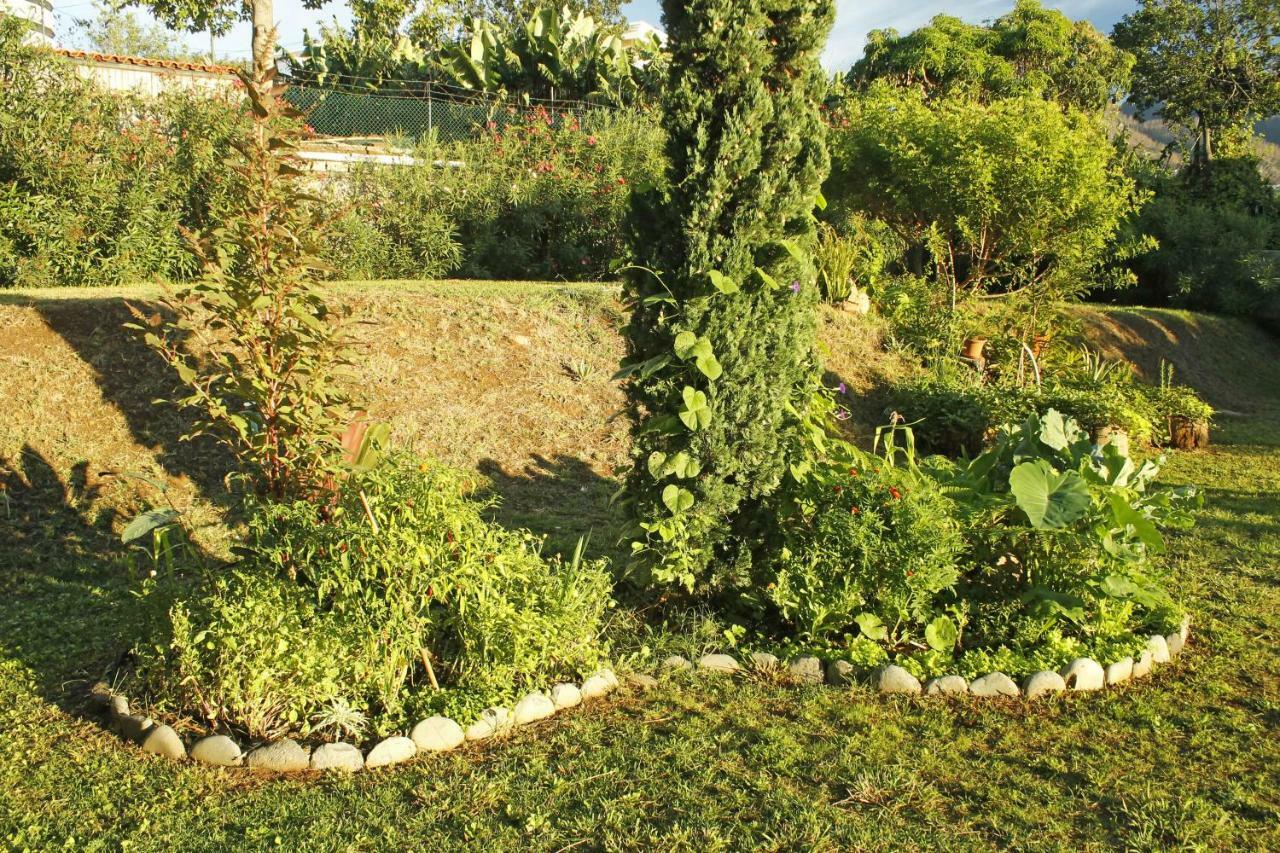 Rochas Shared Apart Garden Refuge フンシャル エクステリア 写真